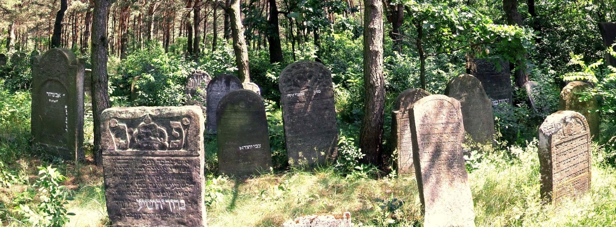 Dawny cmentarz żydowski w Ulanowie