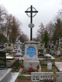 Krzyż na cmentarzu parafialnym poświęcony poległym powstańcom styczniowym