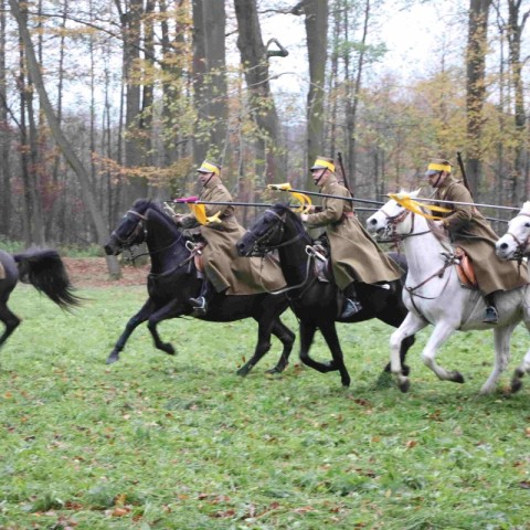 Powiększ obraz: Święto Niepodległości Bieliny