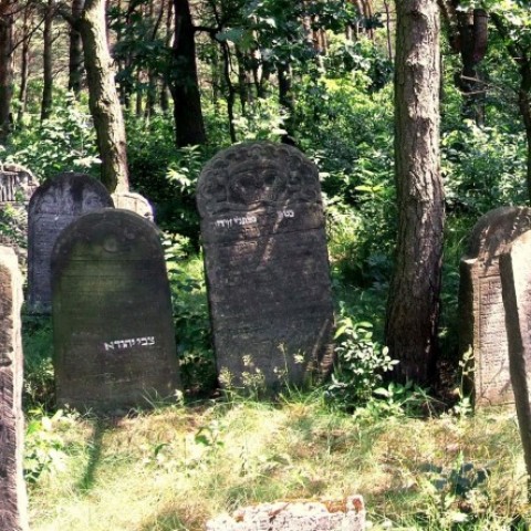 Powiększ obraz: Dawny cmentarz żydowski w Ulanowie