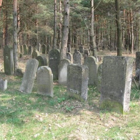 Powiększ obraz: Stary cmentarz żydowski