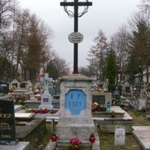 Powiększ obraz: Krzyż na cmentarzu parafialnym poświęcony poległym powstańcom styczniowym